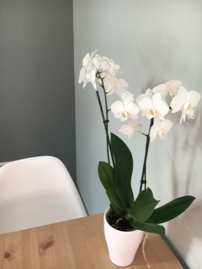Apartament Easy Stay Center วรอตซวาฟ ภายนอก รูปภาพ